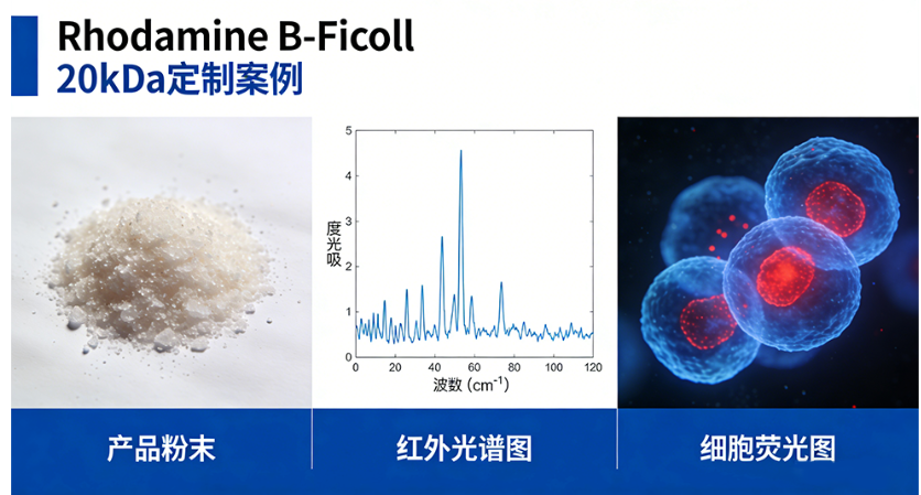 Rhodamine B-Ficoll 20kDa