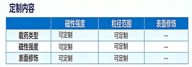载药磁性纳米颗粒定制