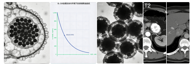 Fe₃O₄纳米载体