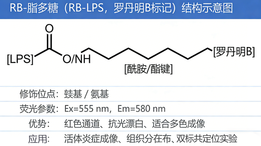 RB-脂多糖 RB-脂多糖
