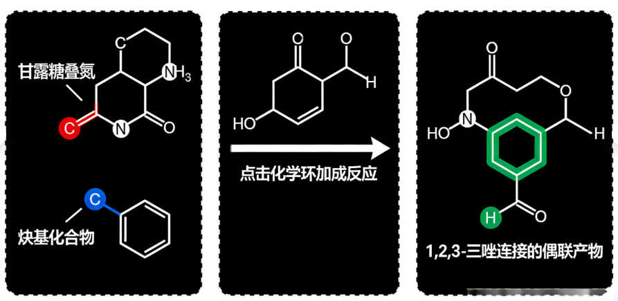 甘露糖叠氮 - 炔基点击化学偶联 甘露糖叠氮 - 炔基点击化学偶联