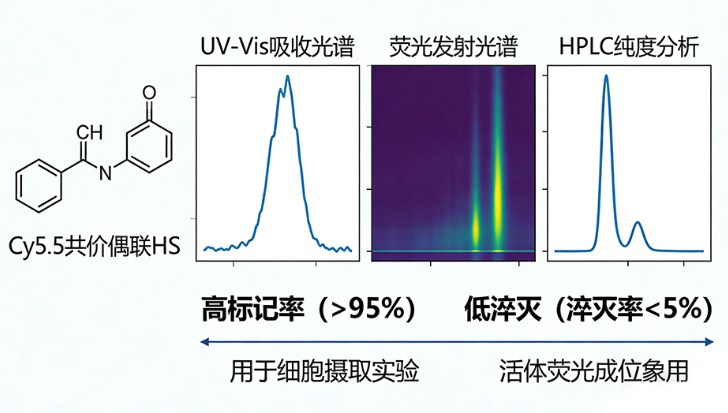 Cy5.5 荧光标记 HS Cy5.5 荧光标记 HS