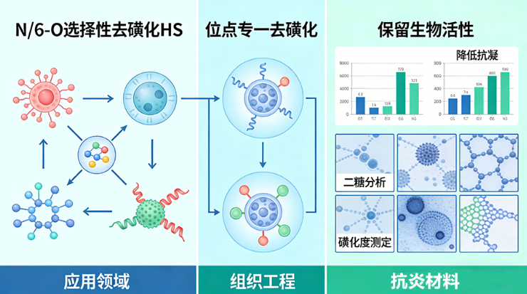 N/6-O 选择性去磺化 HS N/6-O 选择性去磺化 HS