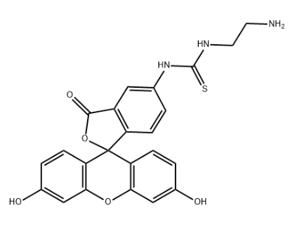 5-FITC-C2-NH2