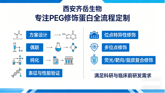 西安齐岳生物PEG修饰蛋白定制服务