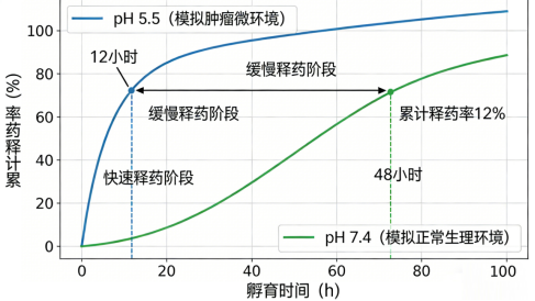 pH响应型Fe₂O₃中空多层结构载药系统定制