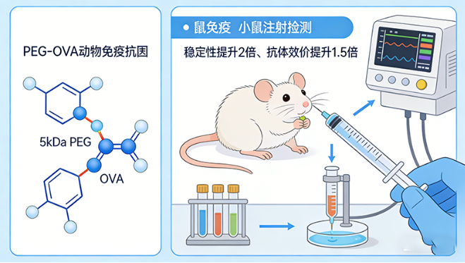 PEG-OVA定制（动物免疫*原）