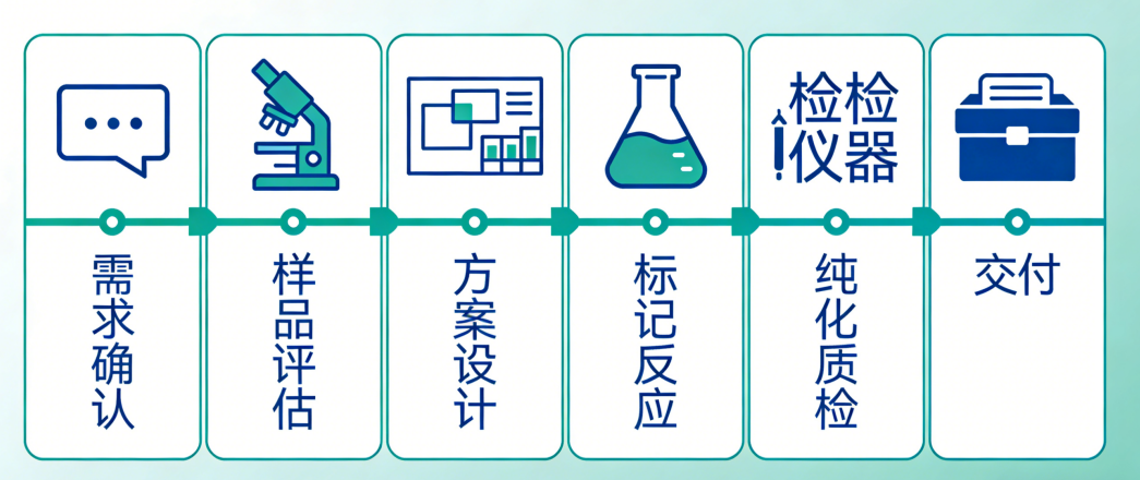 Alexa Fluor 系列荧光染料蛋白标记定制
