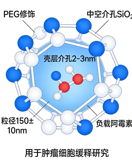 PEG 修饰中空介孔 SiO₂载药 PEG 修饰中空介孔 SiO₂载药