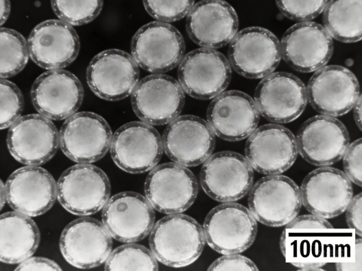 Cy5标记叶酸靶向脂质体肿瘤成像