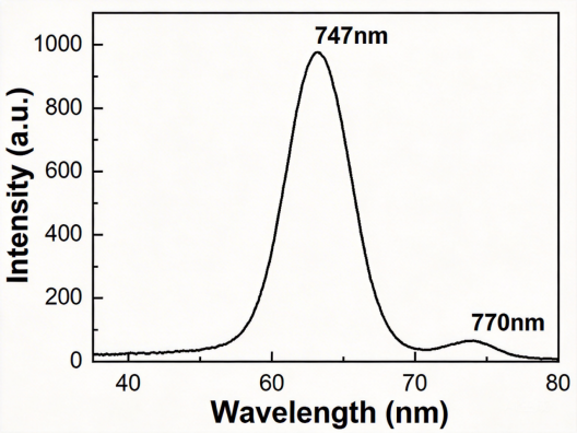 Cy7标记长循环脂质体药代动力学研究