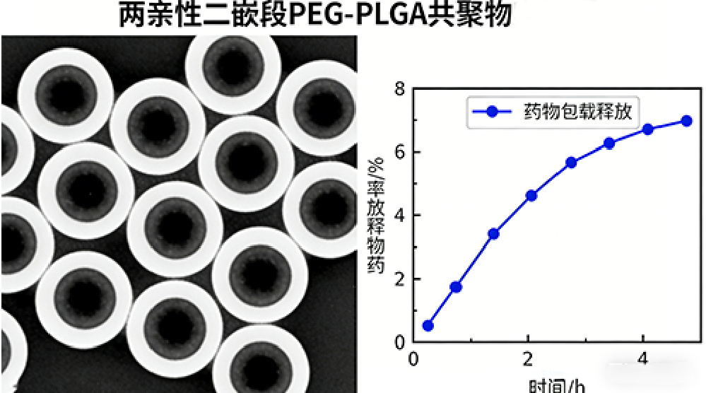 两亲性二嵌段PEG-PLGA共聚物