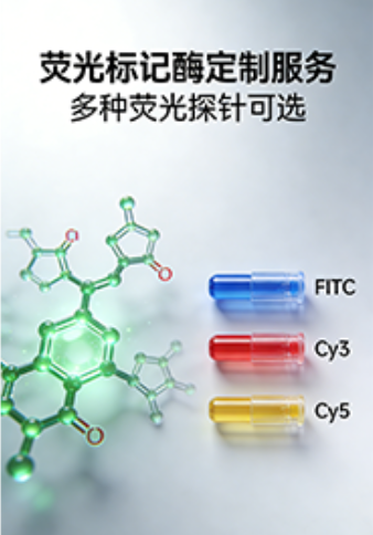 1773901665963962.png 206.png