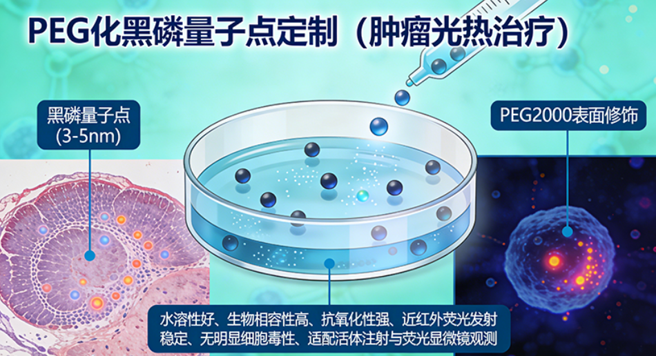 1773987802717805.png 222.png