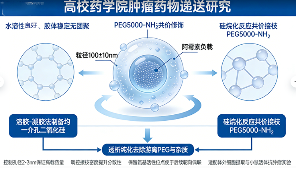 PEG-介孔二氧化硅纳米颗粒