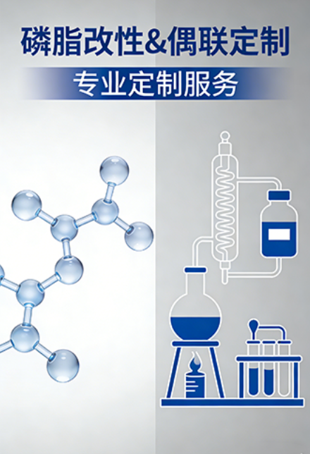 磷脂改性&偶联定制