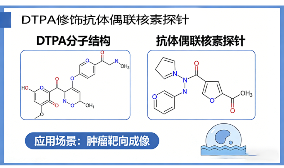 DTPA修饰*体偶联核素探针 DTPA修饰*体偶联核素探针