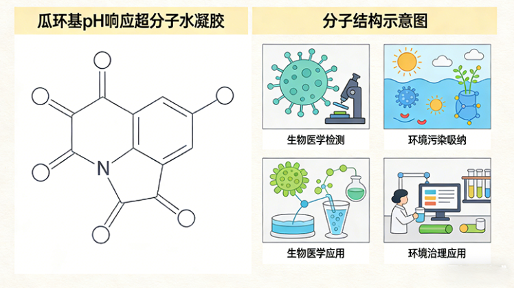 瓜环基pH响应超分子水凝胶 瓜环基pH响应超分子水凝胶