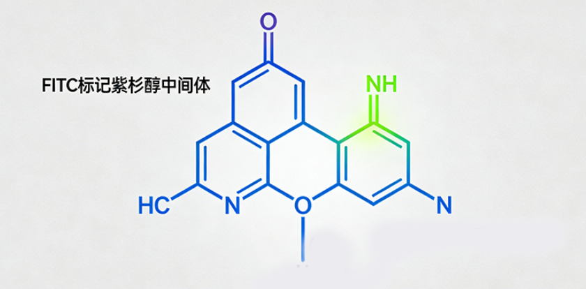 FITC标记紫杉醇中间体