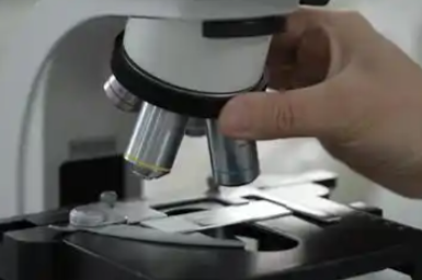 FITC-PEG-cholesterol