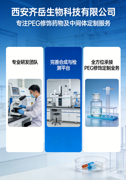 PEG修饰药物&中间体定制