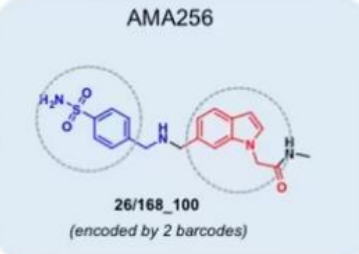 AMA256化合物定制