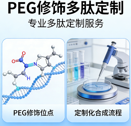 PEG 修饰多肽