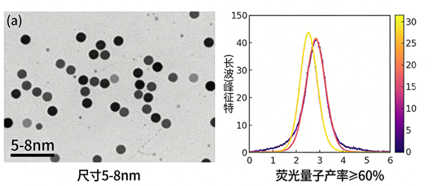 氮掺杂碳量子点定制 氮掺杂碳量子点定制