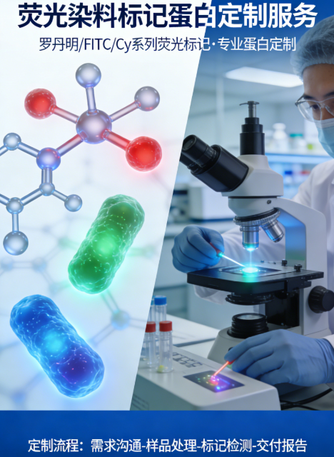 1774851408642656.png 02166.png