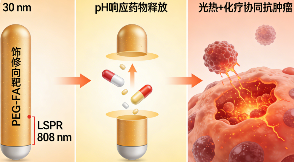 DOX-PEG-FA-AuNRs DOX-PEG-FA-AuNRs