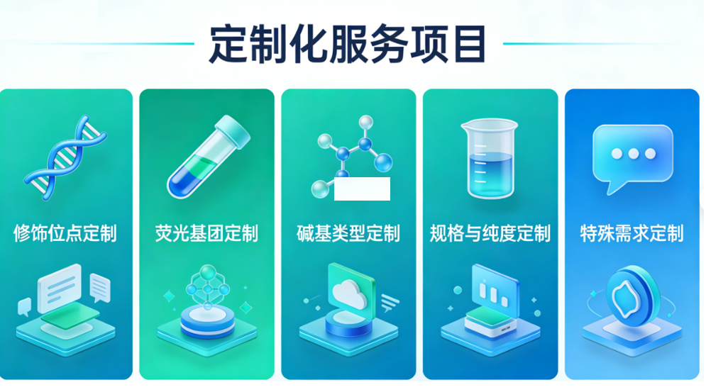 1774927004846779.png 1116.png