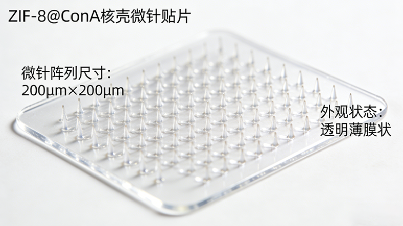 ZIF-8@ConA核壳微针贴片