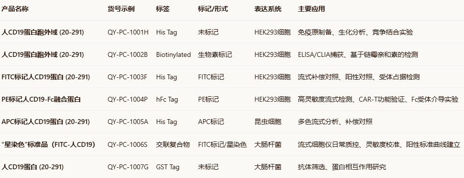FITC-Labeled Human CD19 (20-291) Protein, His Tag Star Staining FITC-Labeled Human CD19 (20-291) Protein, His Tag Star Staining