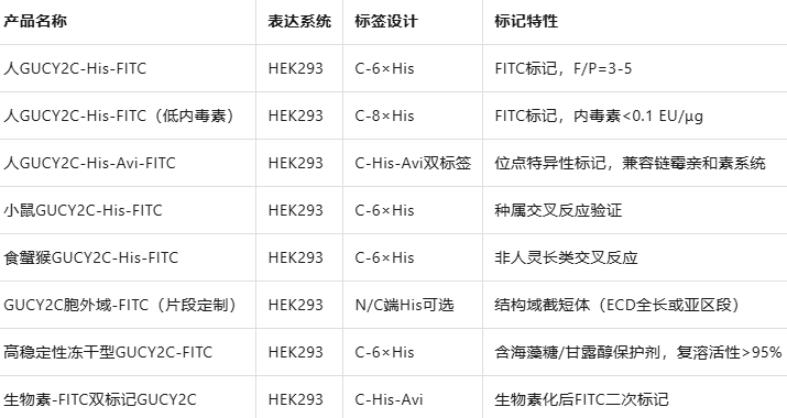 Human GUCY2C/Guanylyl cyclase C Protein, His Tag Star Staining Human GUCY2C/Guanylyl cyclase C Protein, His Tag Star Staining