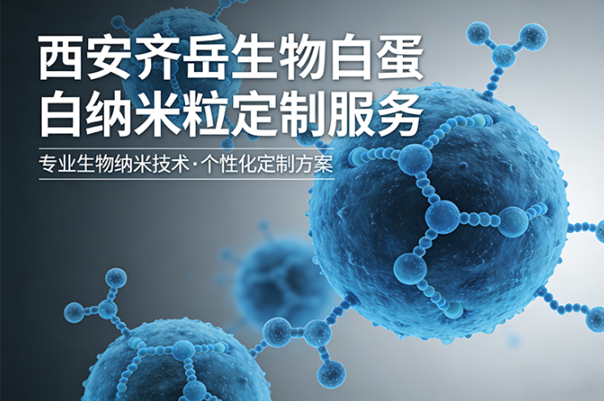 白蛋白纳米粒定制
