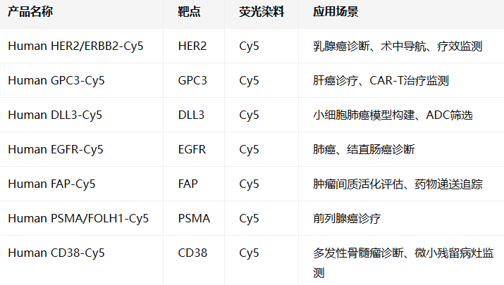 Human HER2/ERBB2/GPC3/DLL3-Cy5 Human HER2/ERBB2/GPC3/DLL3-Cy5