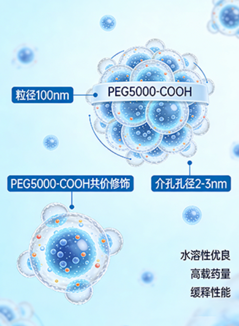 介孔硅纳米载体定制