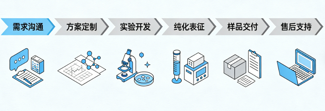 ADC定制服务流程