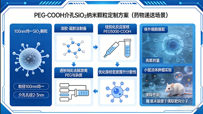 PEG-COOH介孔SiO₂纳米颗粒定制（药物递送场景）