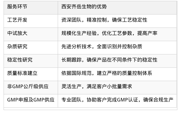 CDMO服务 CDMO服务