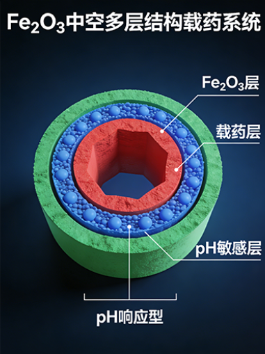 pH响应型Fe₂O₃中空多层结构载药系统