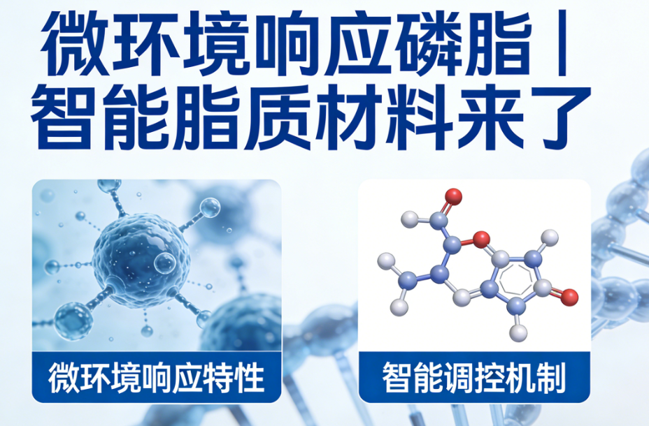 微环境响应磷脂