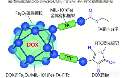 磁-荧光双功能DOX@Fe₃O₄/MIL-101(Fe)-FA-FITC载药系统定制