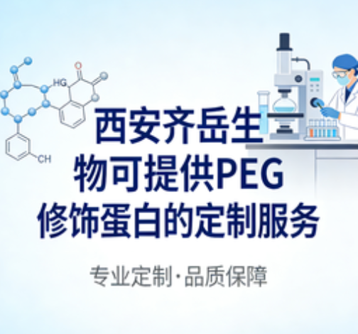 不同分子量PEG修饰溶菌酶定制服务 不同分子量PEG修饰溶菌酶定制服务
