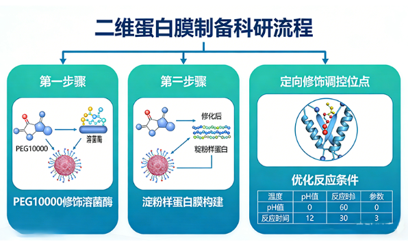 高校科研项目(二维蛋白膜制备) 高校科研项目(二维蛋白膜制备)