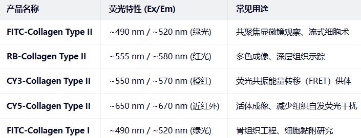 FITC/RB/CY3-Collagen Type II FITC/RB/CY3-Collagen Type II