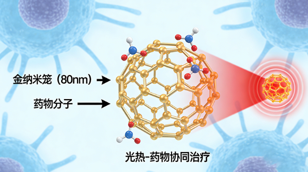 金纳米笼(80nm)光热-药物协同治疗 金纳米笼(80nm)光热-药物协同治疗