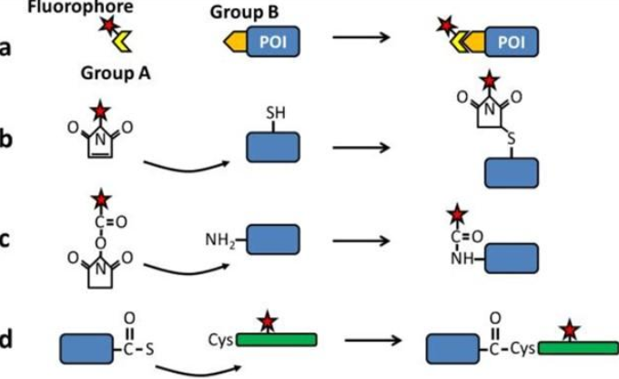 1775787997512516.png image.png