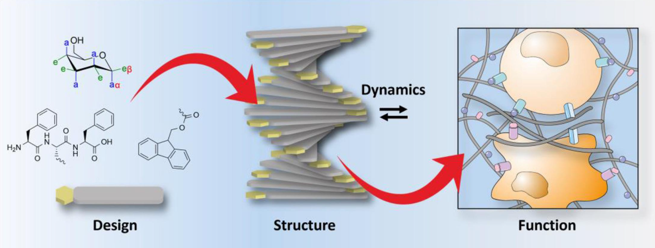 Benzoquinone-(CH2)6-S-S-(CH2)6-Beznoquinone