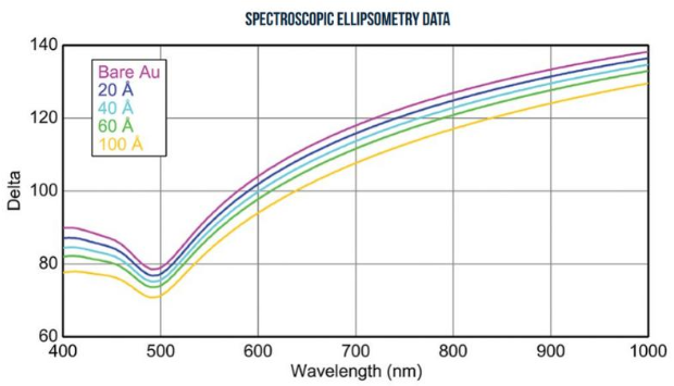 HS-(CH2)11/12/16-Hydroquinone